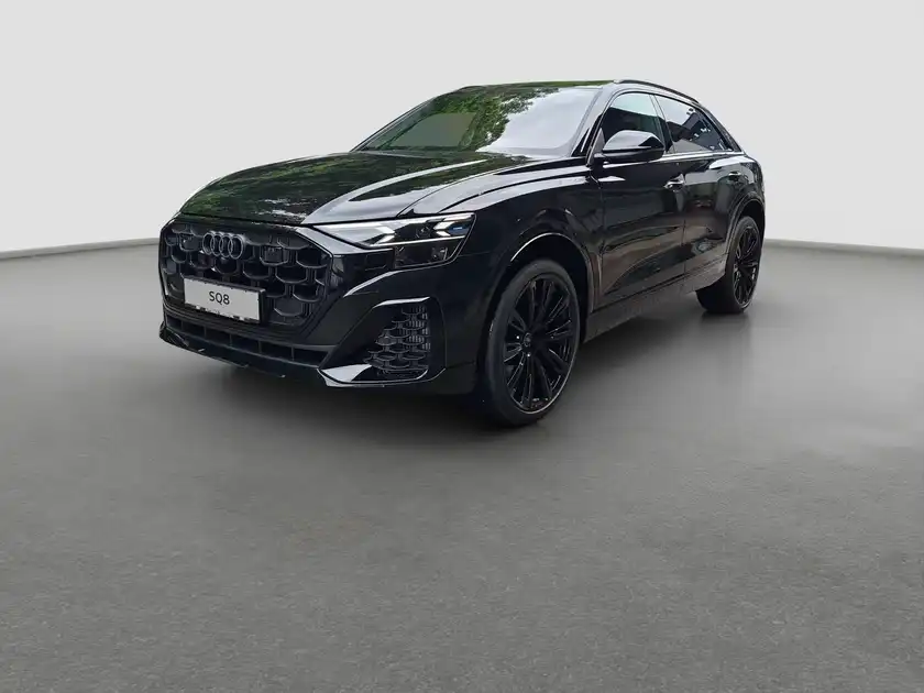 AUDI SQ8 (1/17)