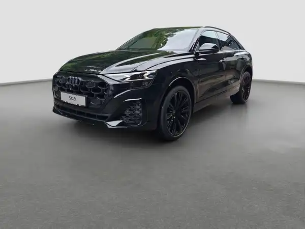 AUDI SQ8 (1/17)