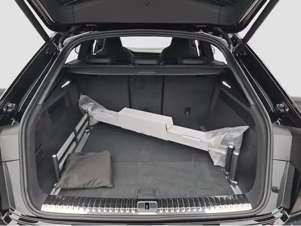 AUDI RS Q8 (13/17)