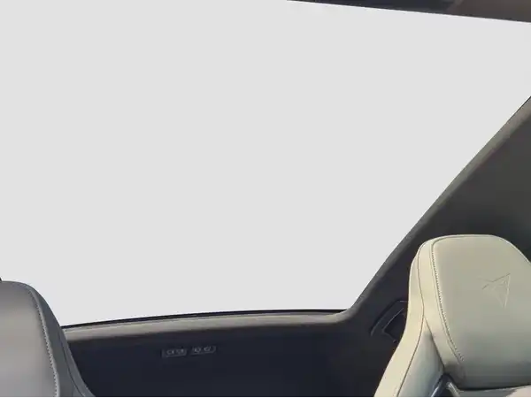 CUPRA BORN (14/17)