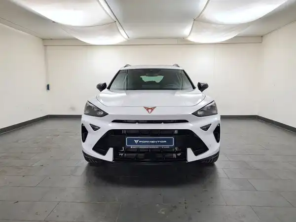 CUPRA FORMENTOR (1/18)