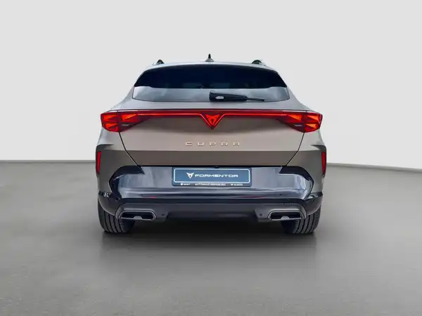 CUPRA FORMENTOR (6/17)