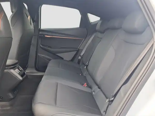 CUPRA TAVASCAN (8/15)