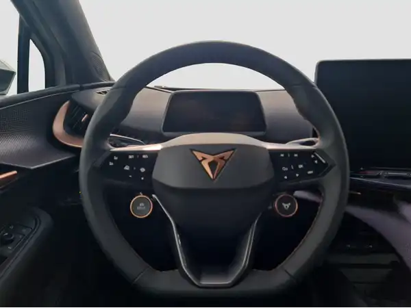 CUPRA TAVASCAN (10/15)