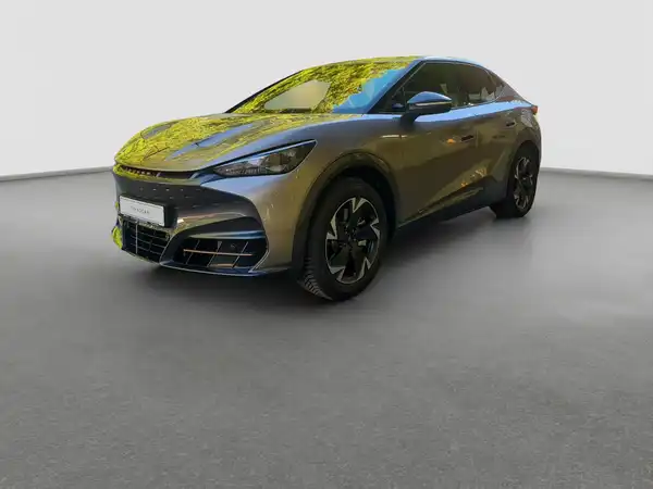CUPRA TAVASCAN (1/16)