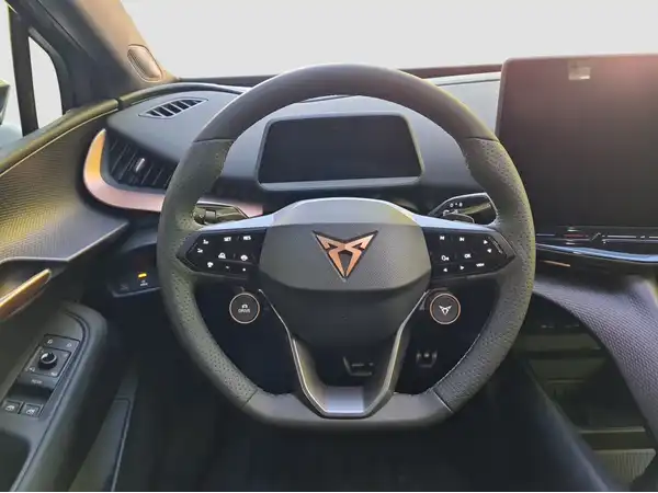 CUPRA TAVASCAN (11/16)