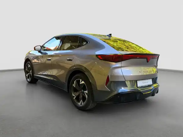 CUPRA TAVASCAN (7/16)