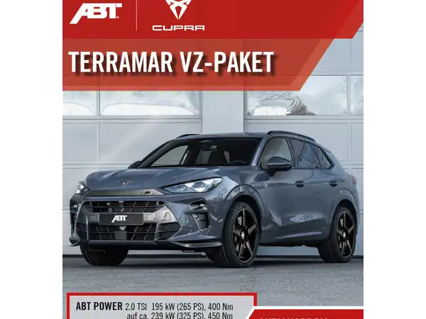 CUPRA TERRAMAR (18/18)