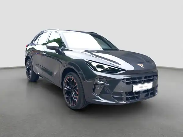 CUPRA TERRAMAR (3/15)