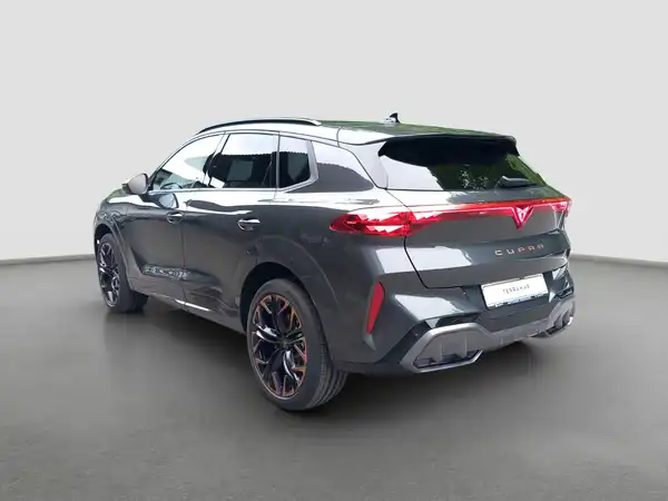 CUPRA TERRAMAR (6/15)