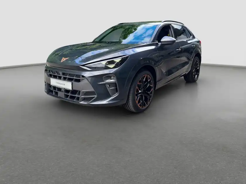 CUPRA TERRAMAR (1/17)
