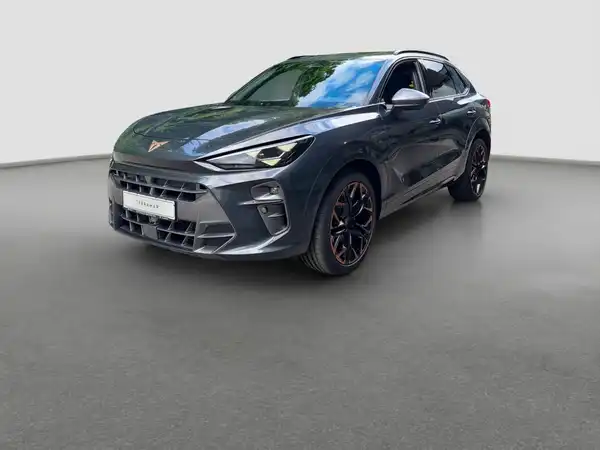 CUPRA TERRAMAR (1/17)