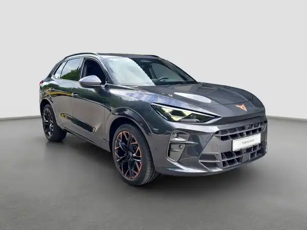 CUPRA TERRAMAR (4/17)