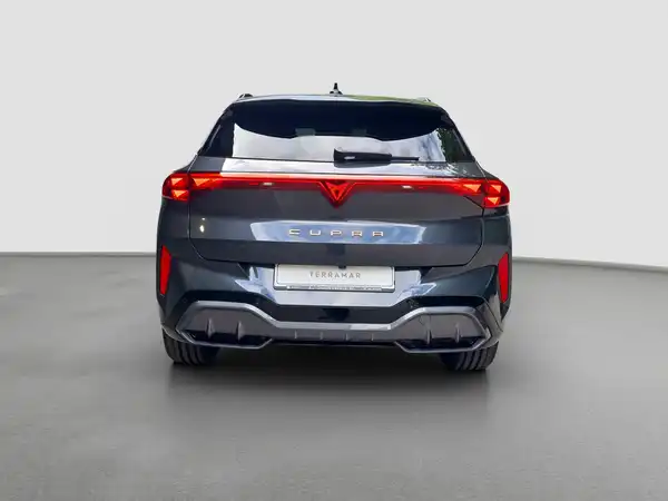 CUPRA TERRAMAR (6/17)