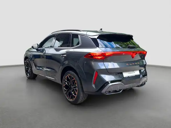 CUPRA TERRAMAR (7/17)