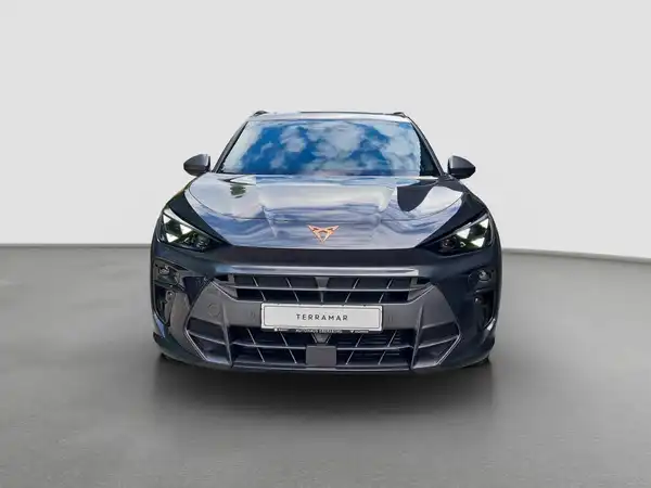 CUPRA TERRAMAR (1/16)