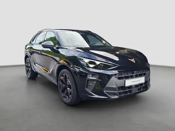 CUPRA TERRAMAR (4/16)