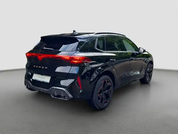 CUPRA TERRAMAR (5/16)