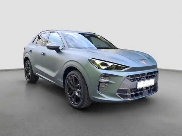 CUPRA TERRAMAR (3/16)