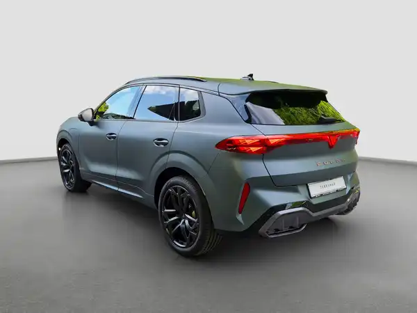 CUPRA TERRAMAR (6/16)