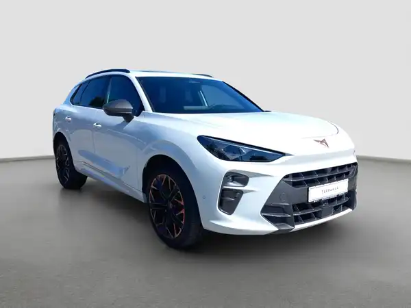 CUPRA TERRAMAR (3/16)