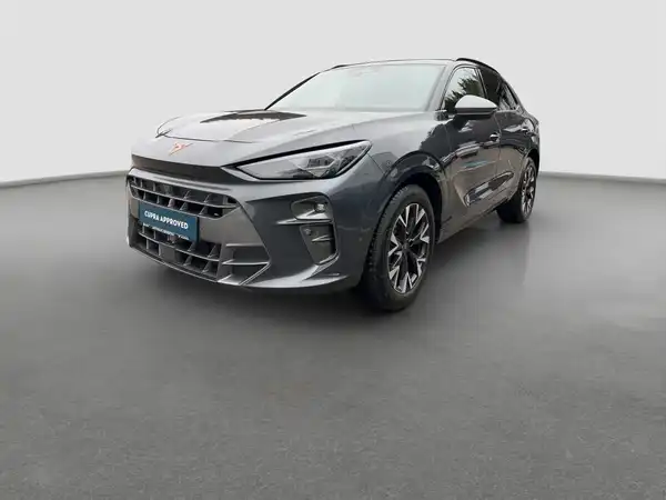 CUPRA TERRAMAR (1/16)