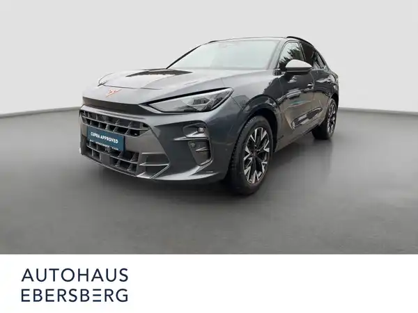 CUPRA TERRAMAR (2/16)