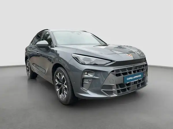 CUPRA TERRAMAR (4/16)