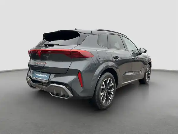 CUPRA TERRAMAR (5/16)