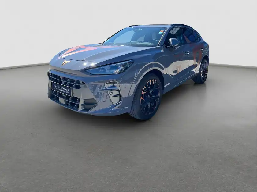 CUPRA TERRAMAR (1/14)