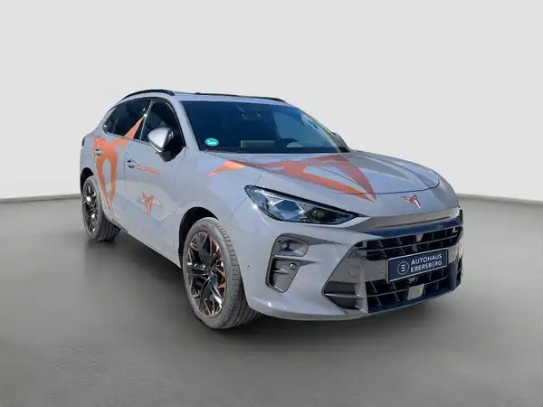 CUPRA TERRAMAR (4/14)