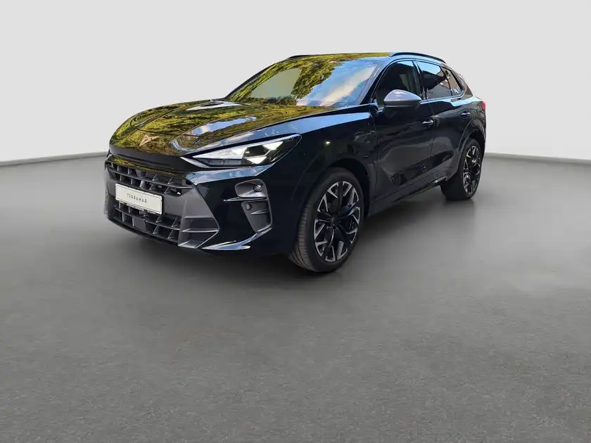 CUPRA TERRAMAR (1/17)