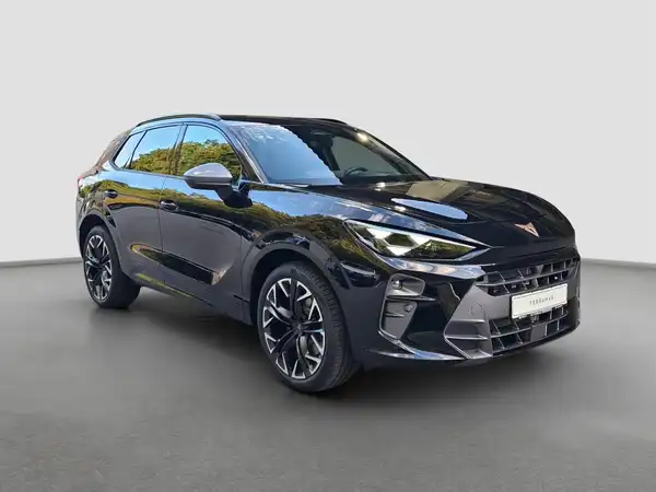 CUPRA TERRAMAR (4/17)