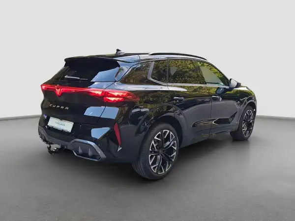 CUPRA TERRAMAR (5/17)