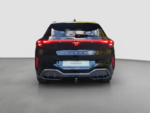 CUPRA TERRAMAR (6/17)