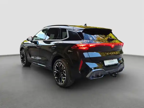 CUPRA TERRAMAR (7/17)