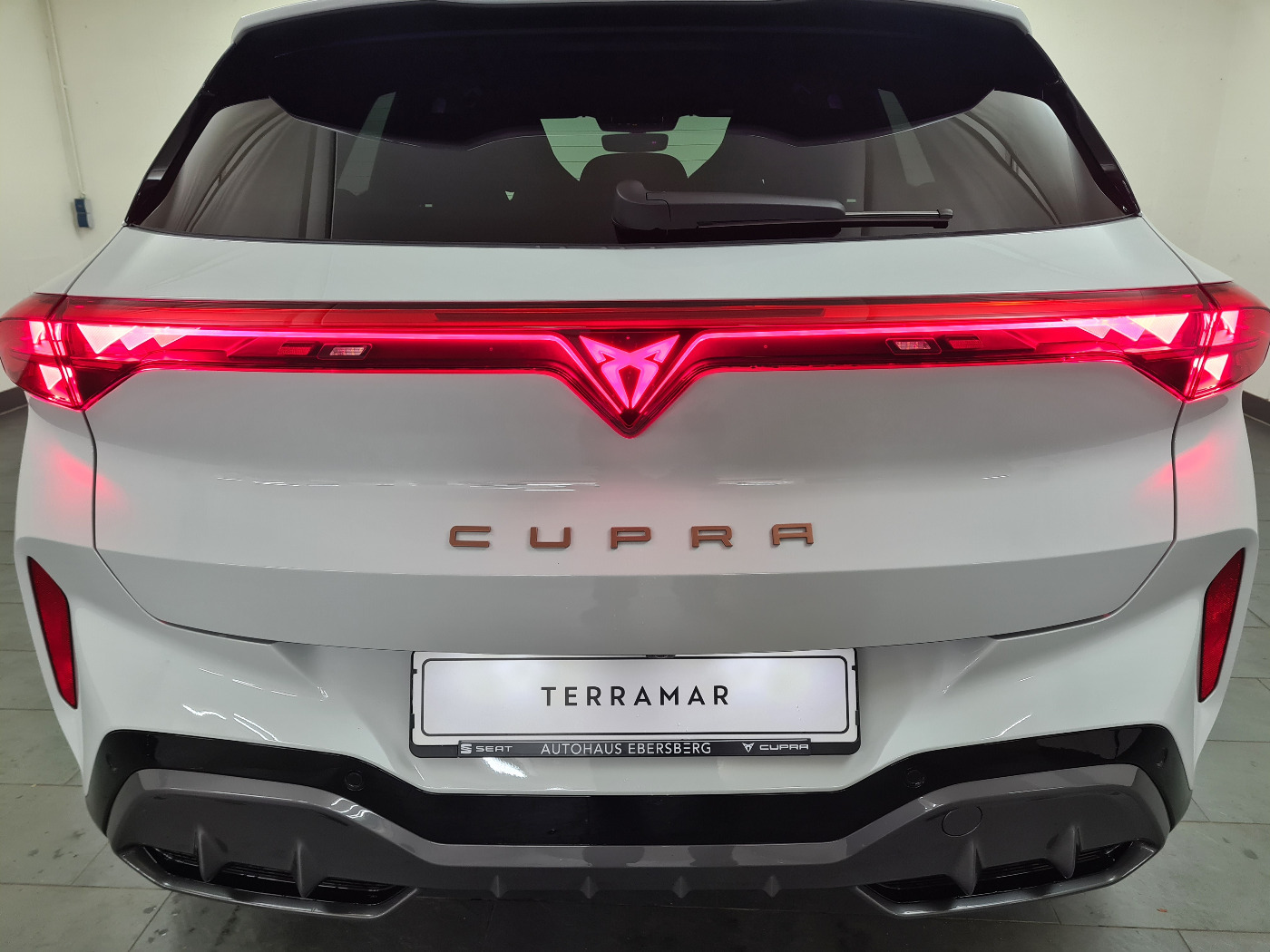 CUPRA TERRAMAR (13/18)