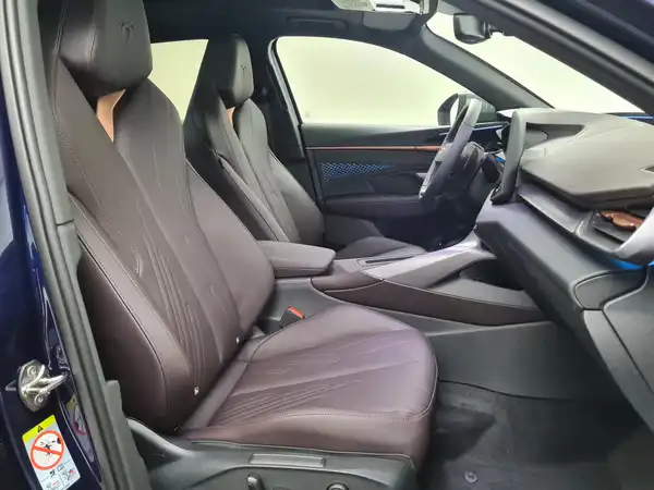 CUPRA TERRAMAR (17/18)