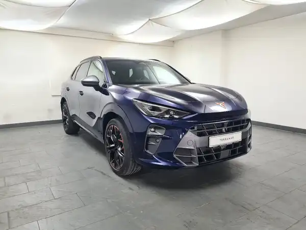 CUPRA TERRAMAR (3/18)