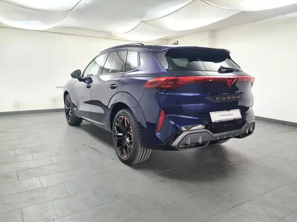 CUPRA TERRAMAR (4/18)