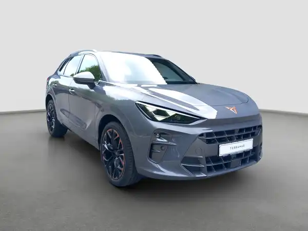 CUPRA TERRAMAR (3/16)