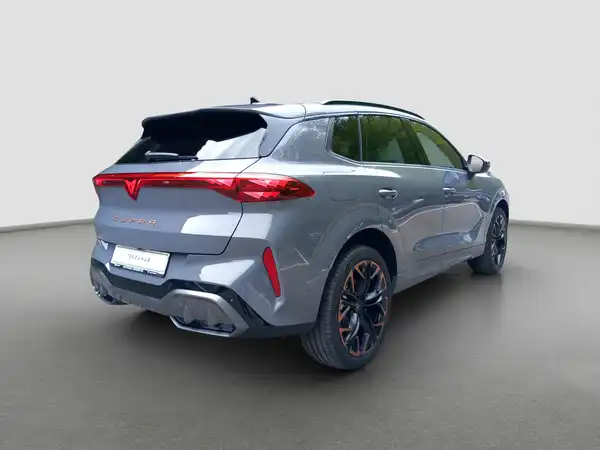CUPRA TERRAMAR (4/16)