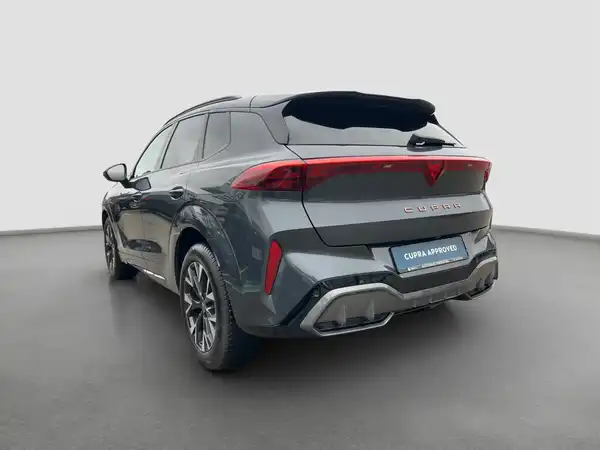 CUPRA TERRAMAR (6/15)