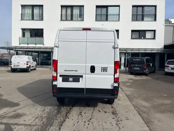 FIAT DUCATO (6/19)