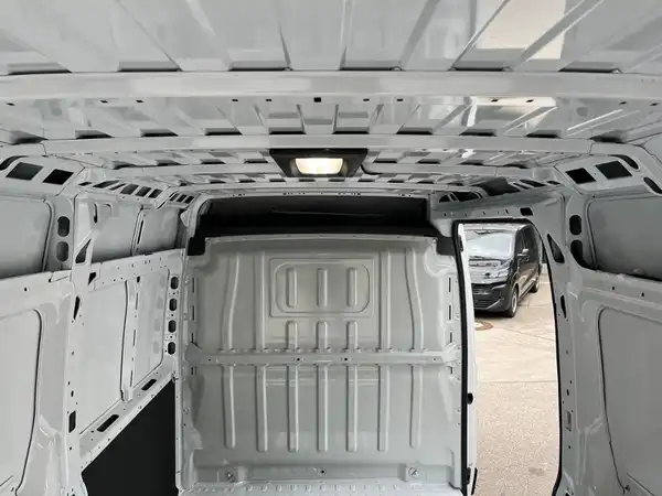 FIAT DUCATO (18/20)
