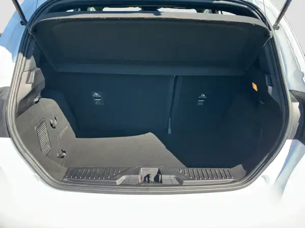 FORD FIESTA (13/16)
