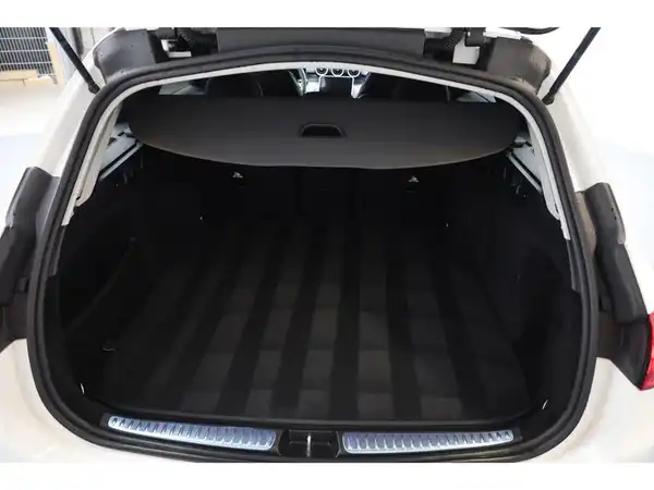 MERCEDES-BENZ C 220 d (21/24)