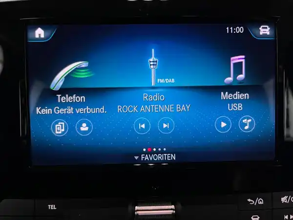 MERCEDES-BENZ CITAN (12/24)