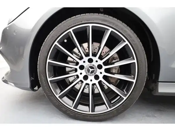 MERCEDES-BENZ CLS 350 d (24/24)
