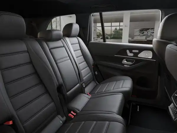 MERCEDES-BENZ GLS (9/10)